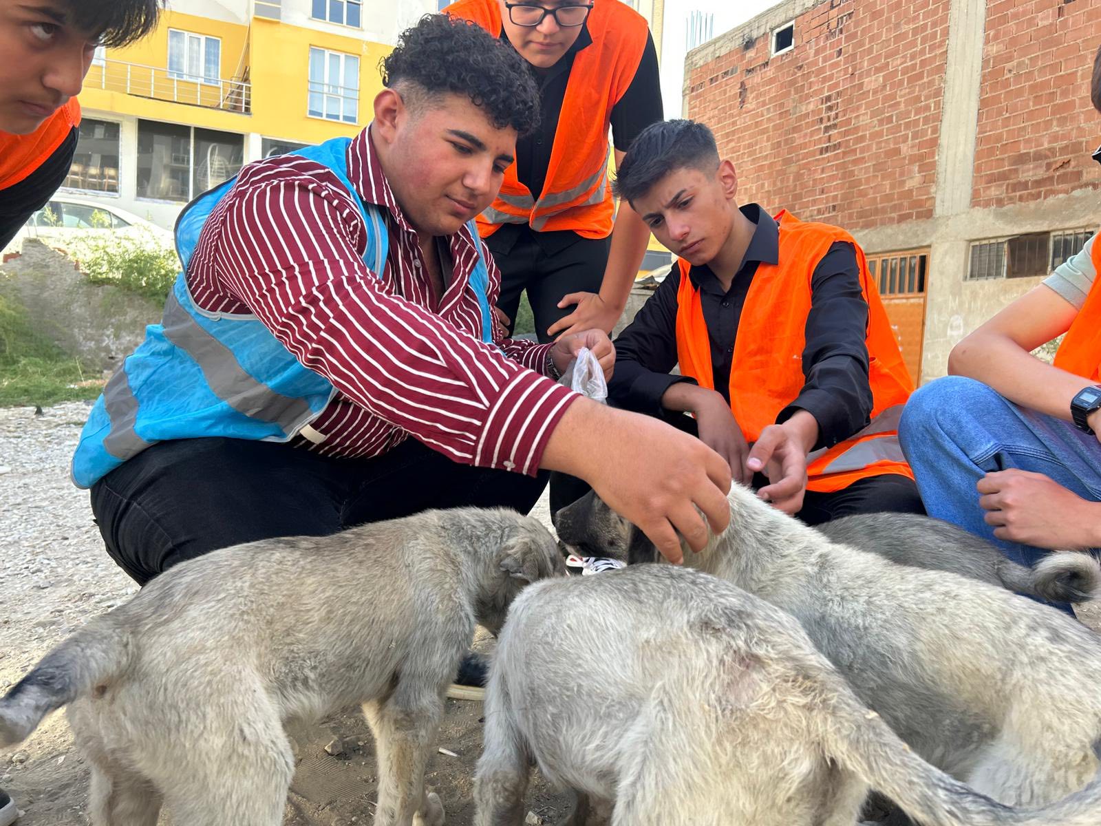 Afşin Ülkü Ocakları'ndan Sokak Hayvanlarına Mama Ve Su Desteği (5)