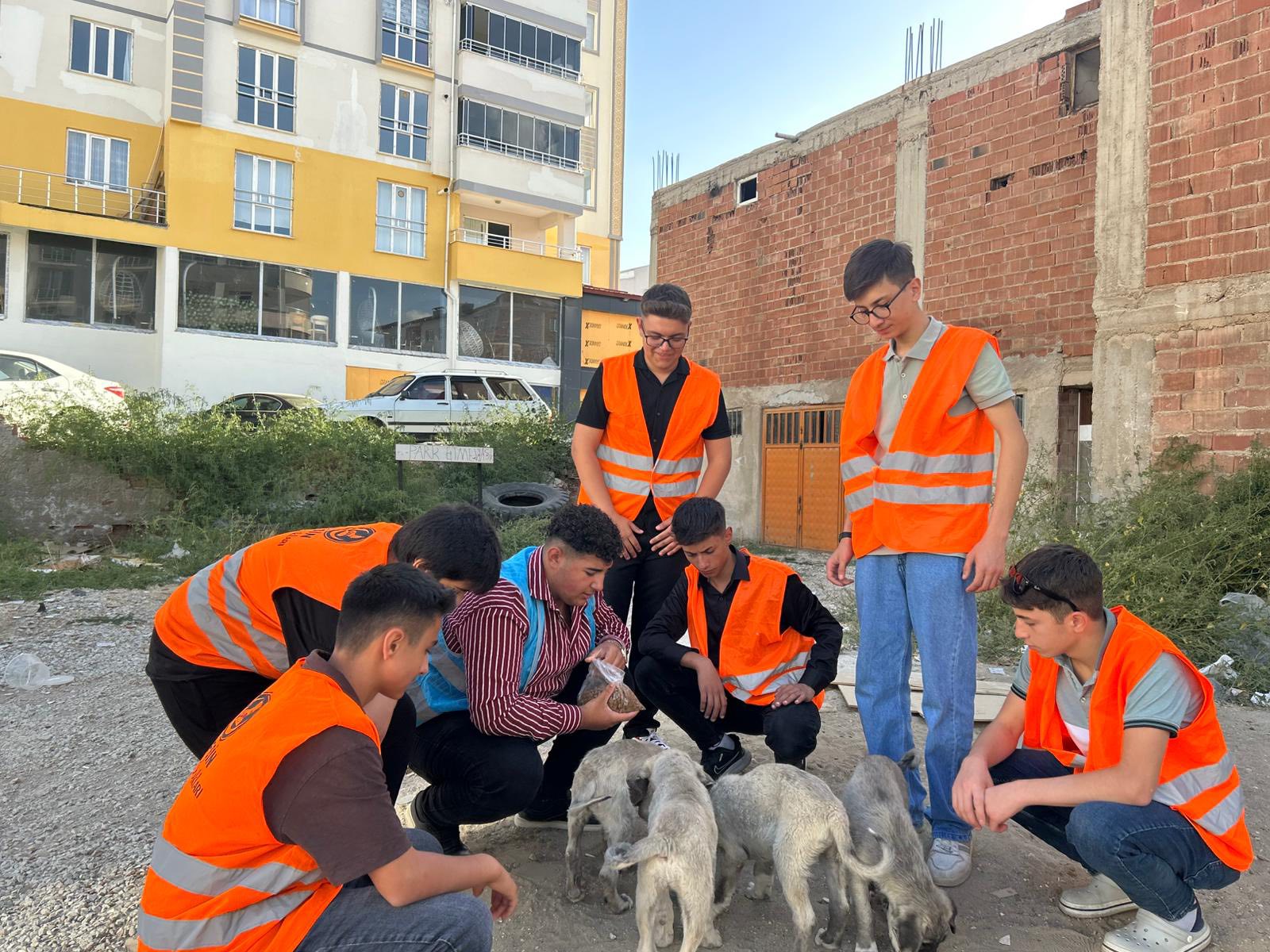Afşin Ülkü Ocakları'ndan Sokak Hayvanlarına Mama Ve Su Desteği (7)