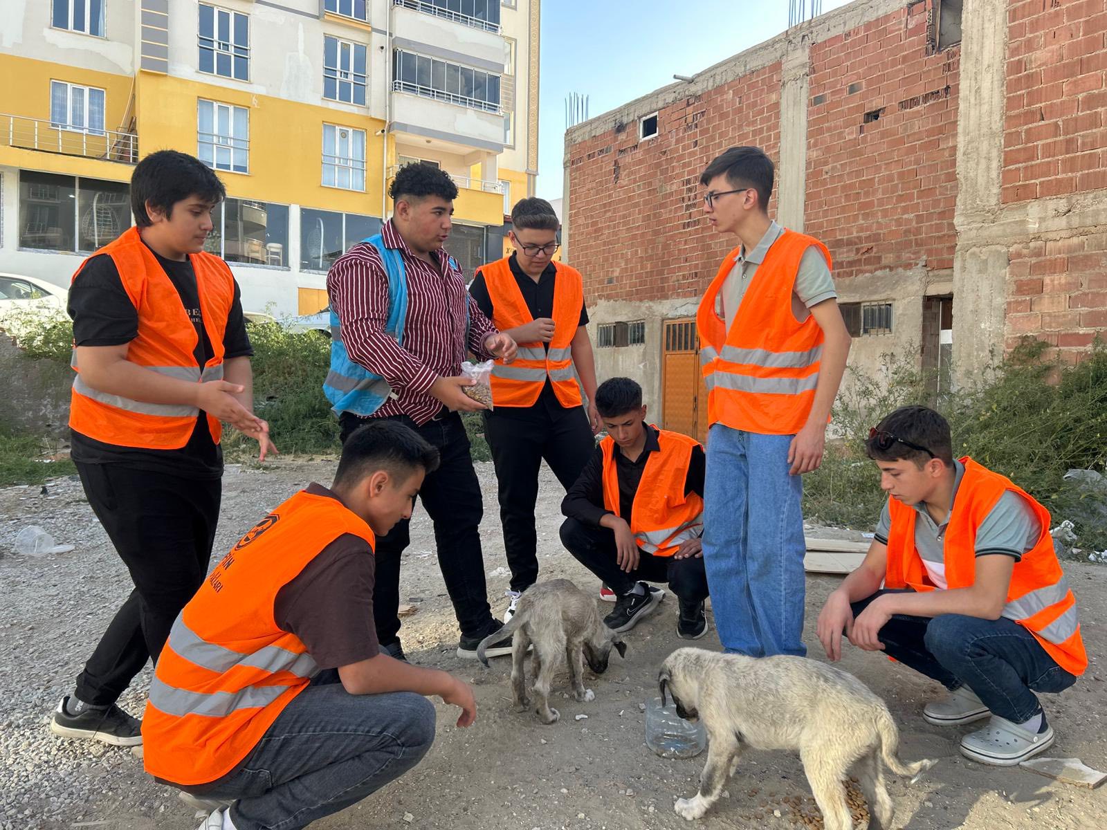 Afşin Ülkü Ocakları'ndan Sokak Hayvanlarına Mama Ve Su Desteği (8)