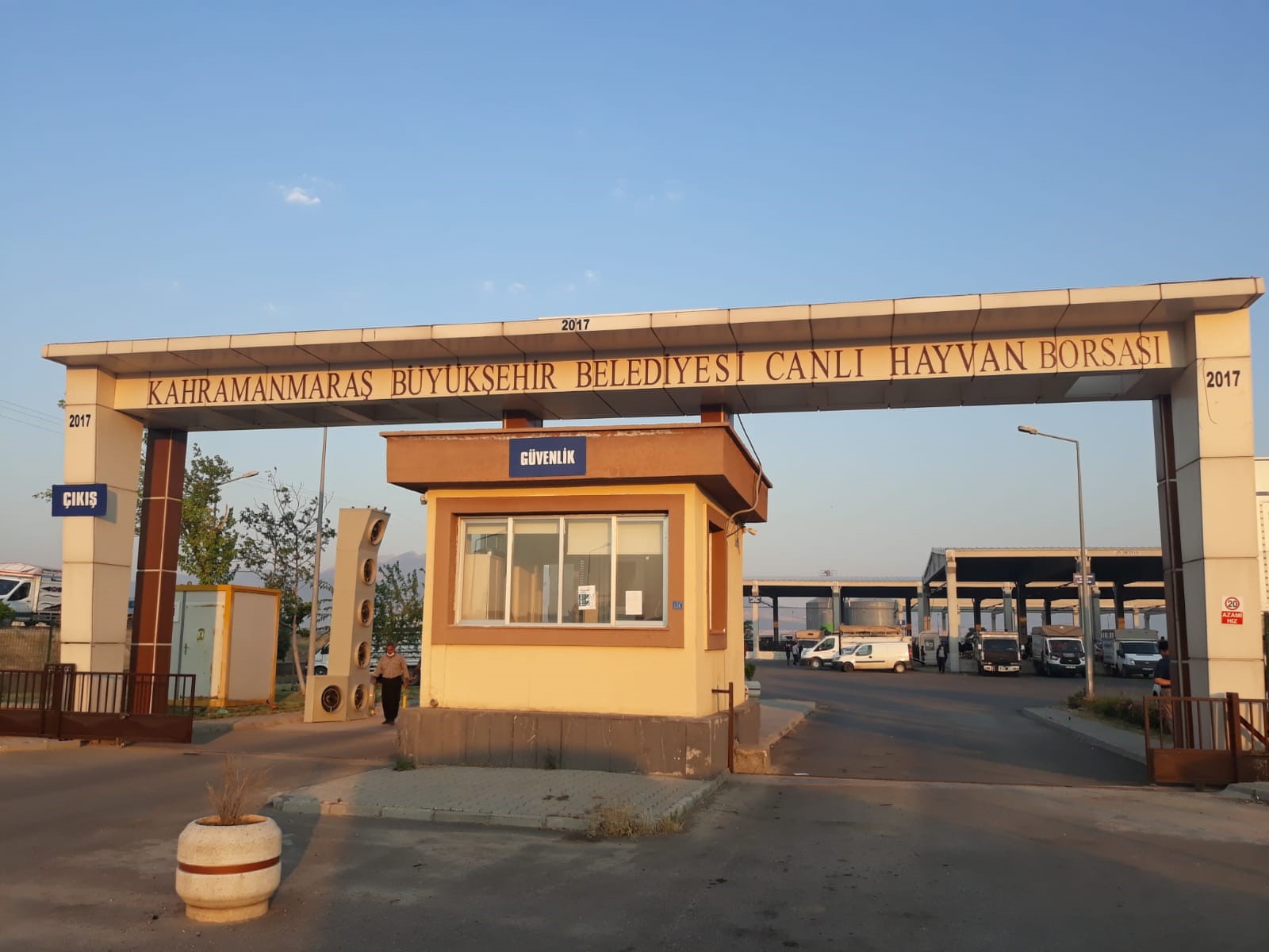 Canlı Hayvan Pazarı Açıldı (2)