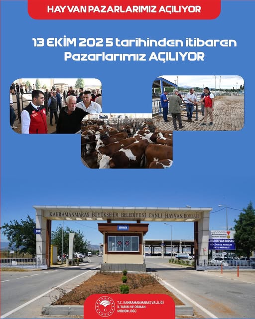 Kahramanmaraş'ta Hayvan Pazarları 13 Ekim 2025'Te Yeniden Açılıyor