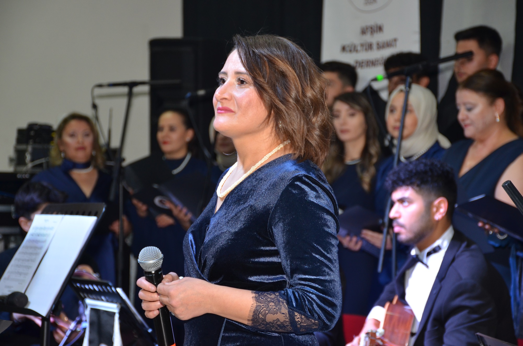 Afşin Ince Saz Şarkıları (11)