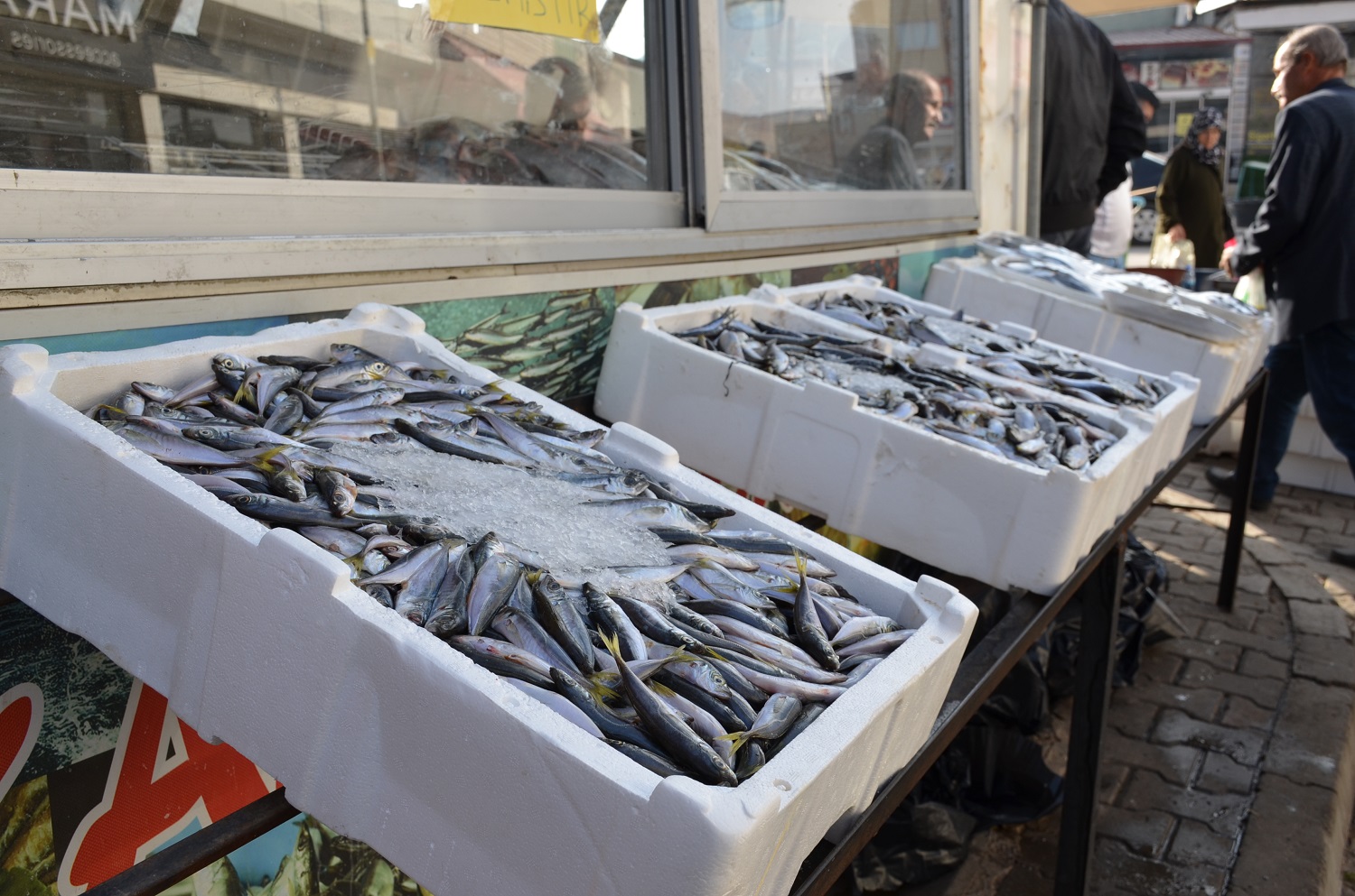 Afşin’de Hamsi Sezonu Başladı Tezgâhlar Şenlendi (1)