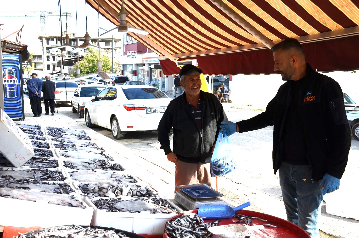 Afşin’de Hamsi Sezonu Başladı Tezgâhlar Şenlendi (10)