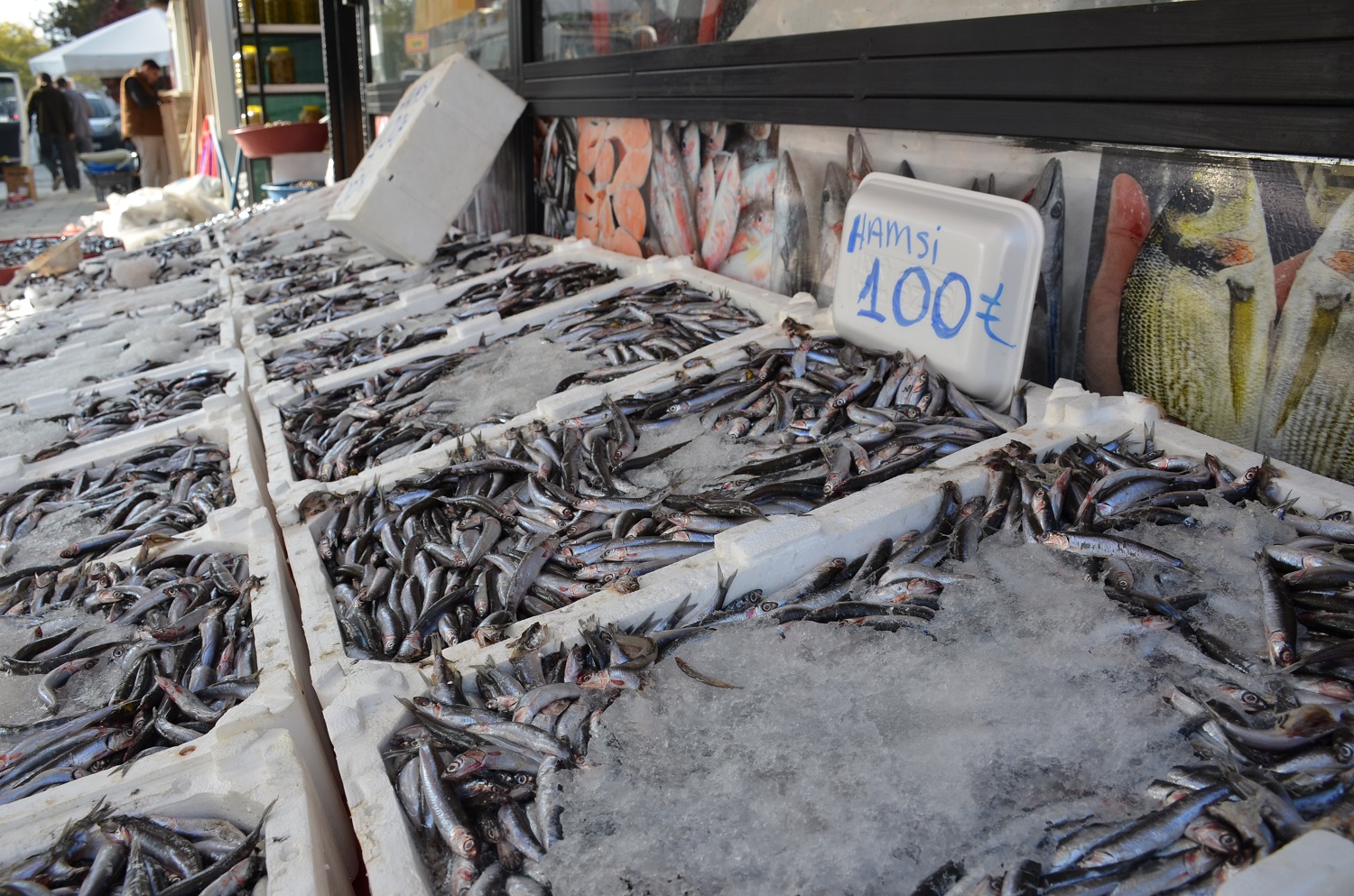 Afşin’de Hamsi Sezonu Başladı Tezgâhlar Şenlendi (3)