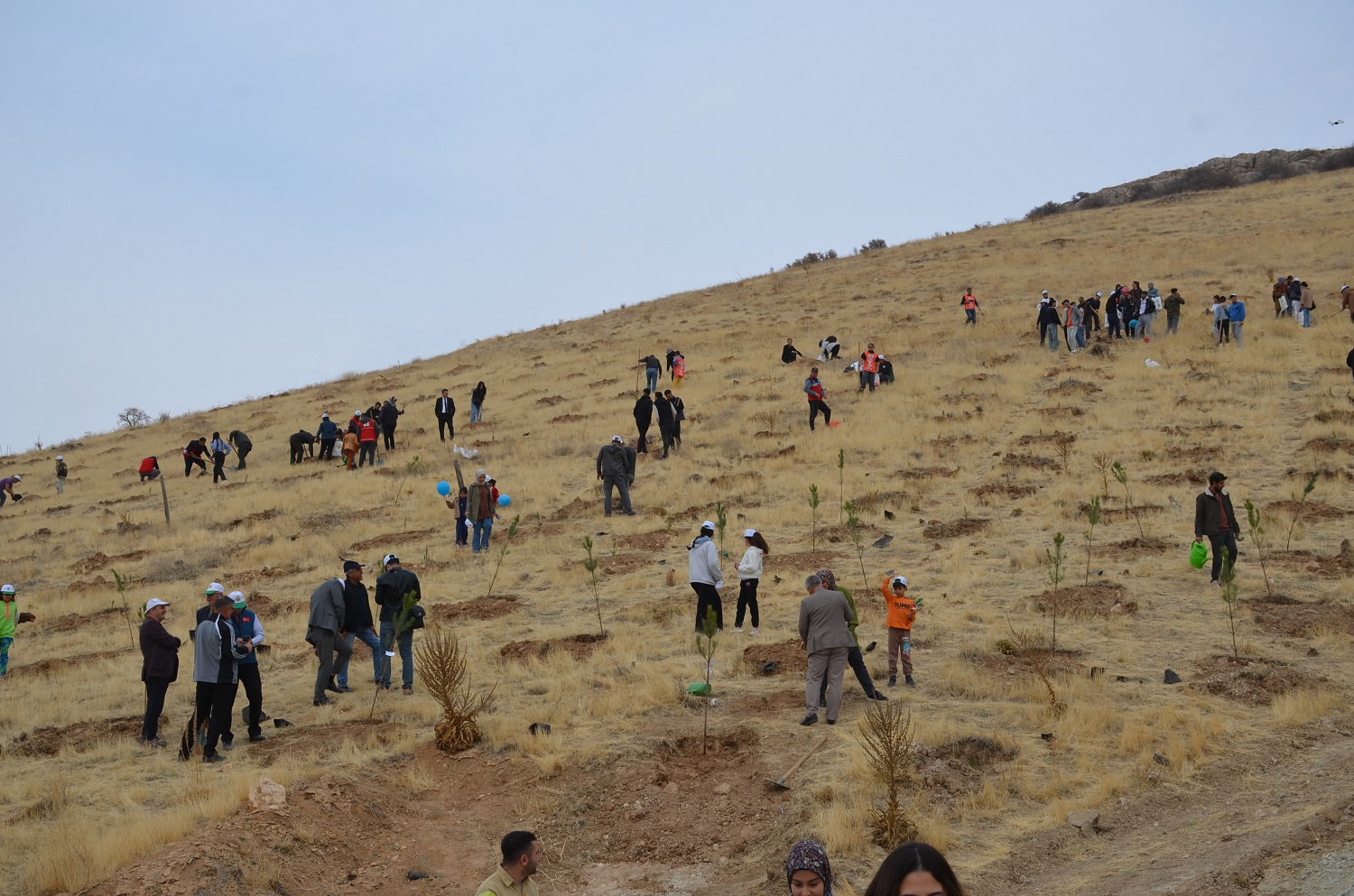 Afşin’de Milli Ağaçlandırma Günü’nde Fidan Dikimi Yapıldı (15)-2