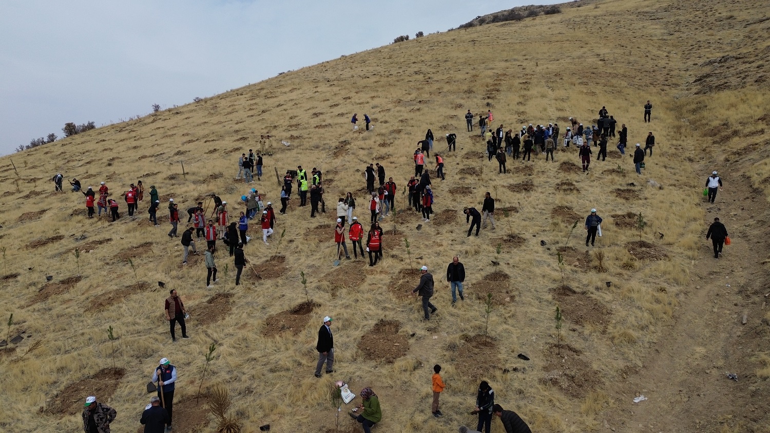 Afşin’de Milli Ağaçlandırma Günü’nde Fidan Dikimi Yapıldı (2)-2