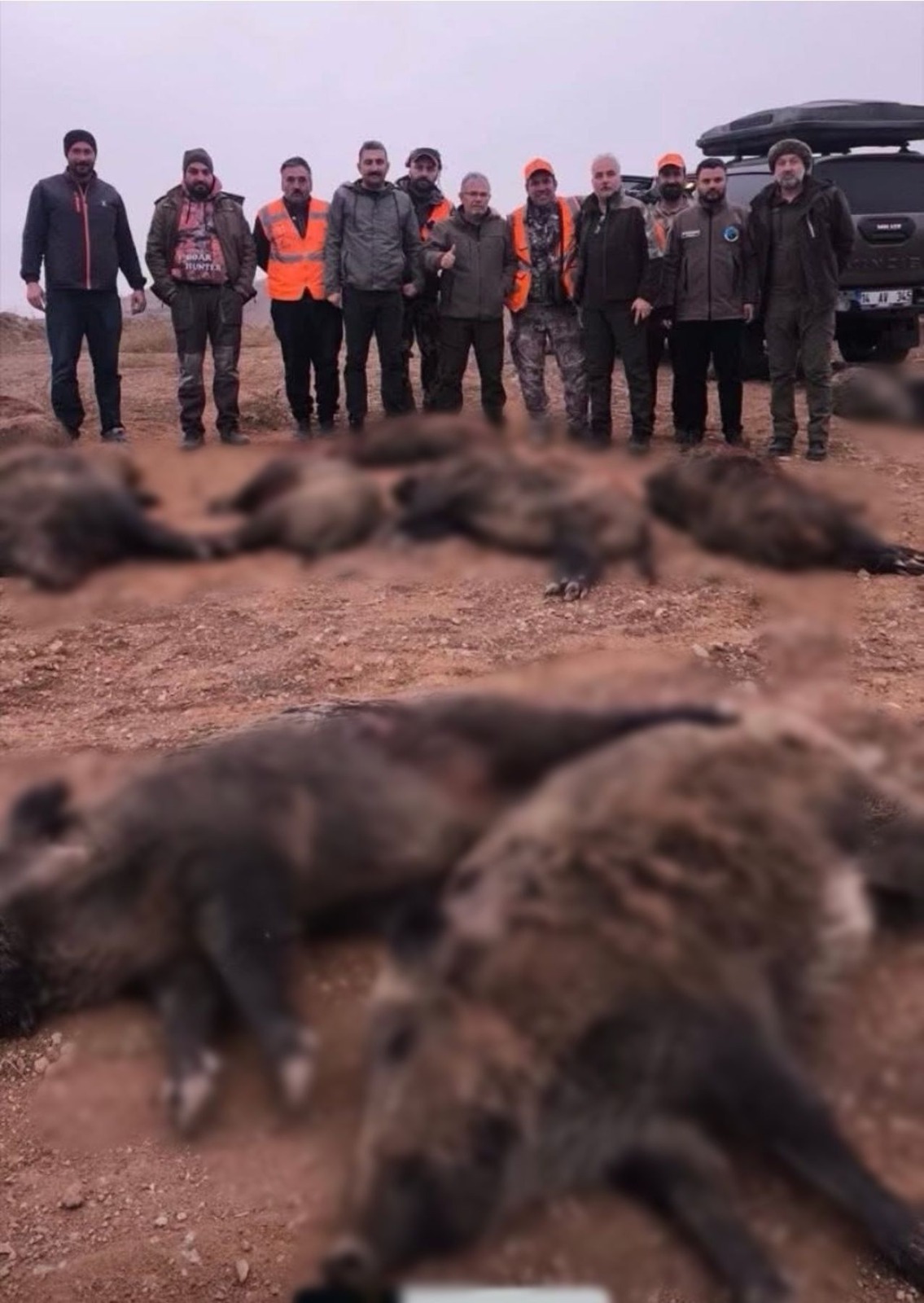 Afşin’de Yaban Domuzlarına Karşı Sürek Avı Yapıldı1