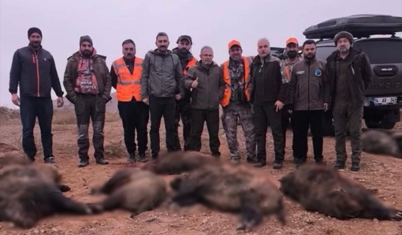 Afşin’de Yaban Domuzlarına Karşı Sürek Avı Yapıldı3