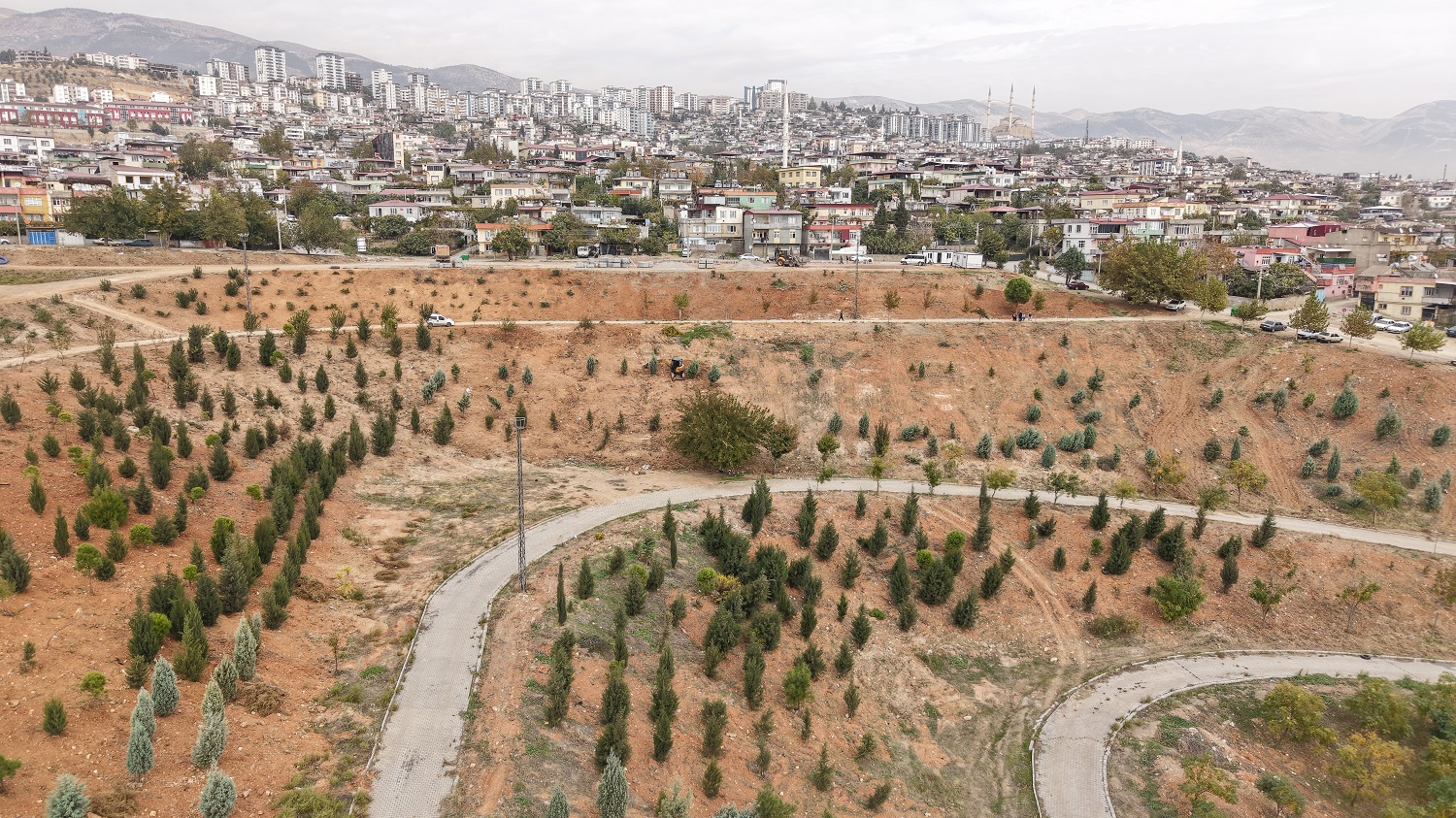 Kahramanmaraş'ta Karbon Emiliminin Artırılması İçin 75 Dönüm Alan Ağaçlandırılıyor (2)