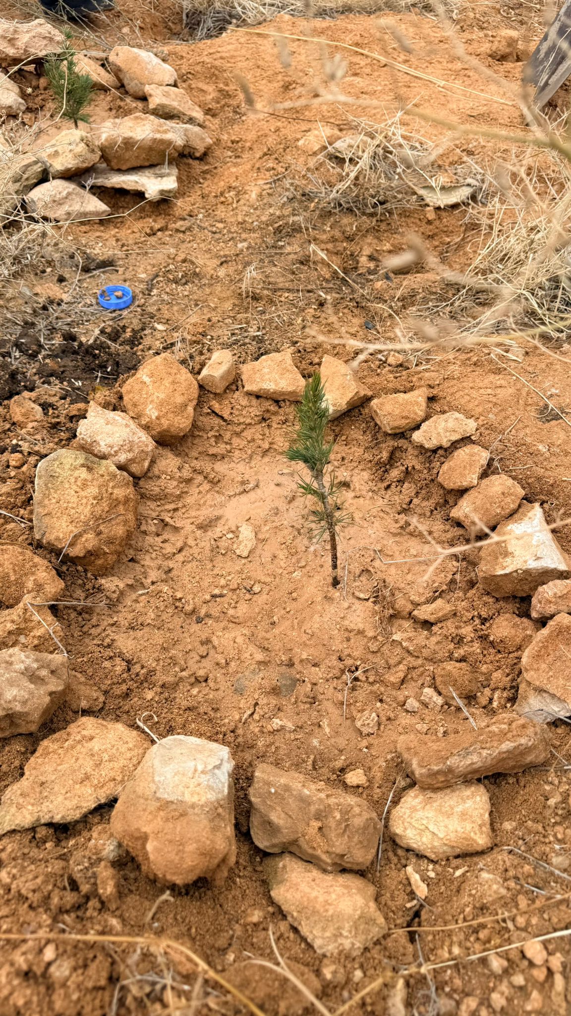 Öğrencilerden Öğretmenine Anlamlı “Öğretmenler Günü” Hediyesi (5)