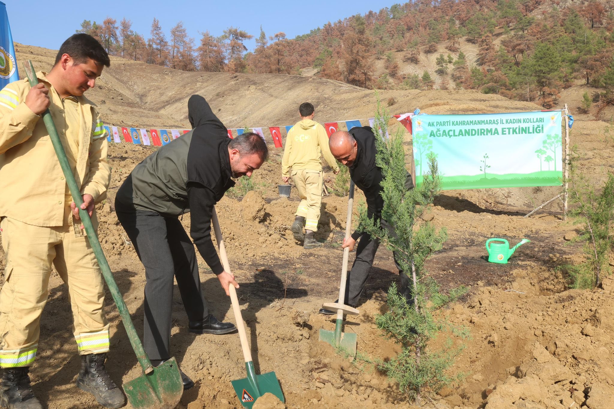 Orman Yangınlarında Kaybedilen Ağaçların Yerine Yeni Fidanlar Dikildi10