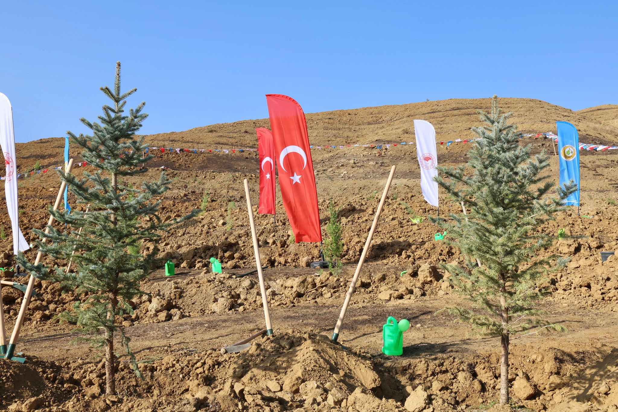 Orman Yangınlarında Kaybedilen Ağaçların Yerine Yeni Fidanlar Dikildi3