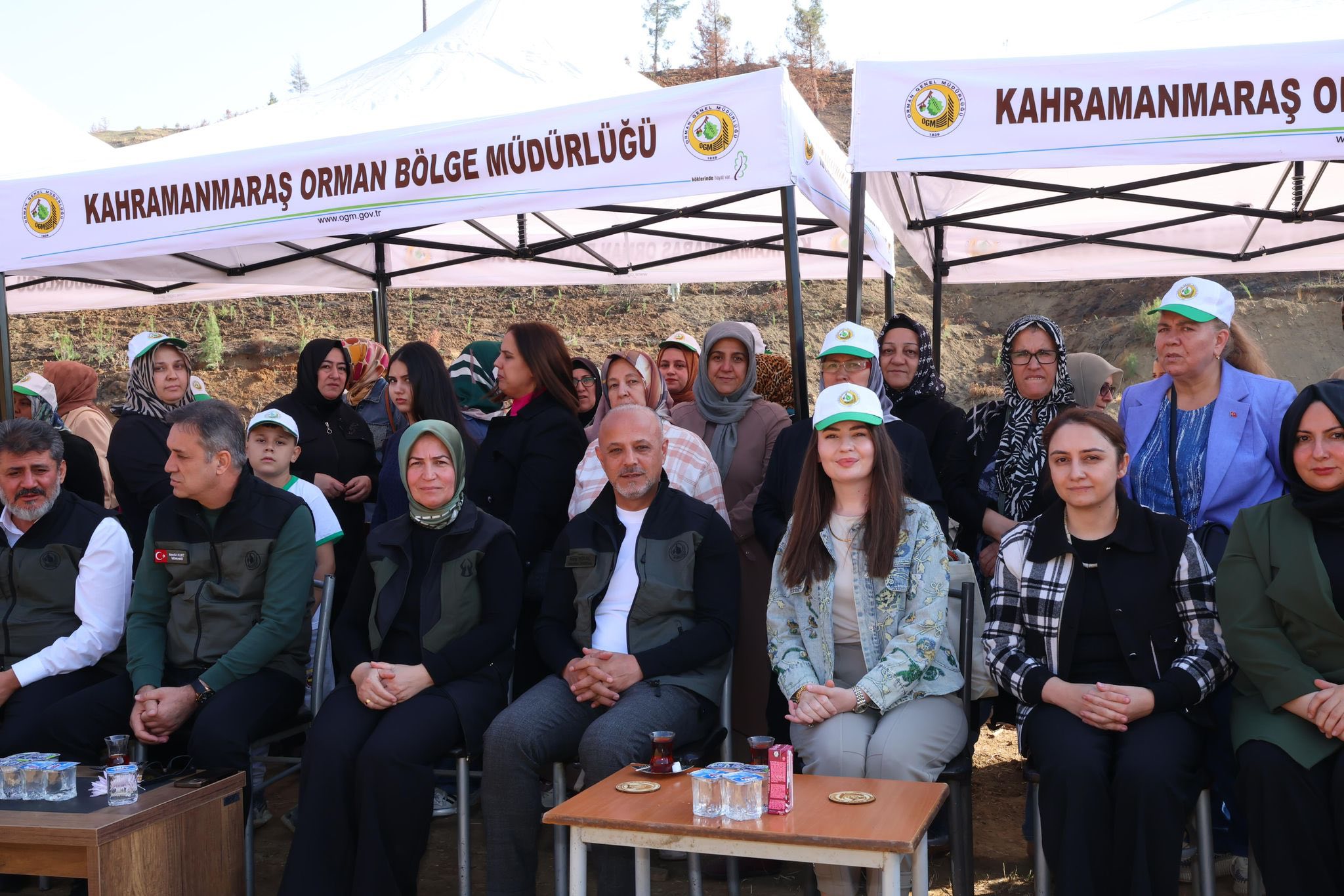 Orman Yangınlarında Kaybedilen Ağaçların Yerine Yeni Fidanlar Dikildi4
