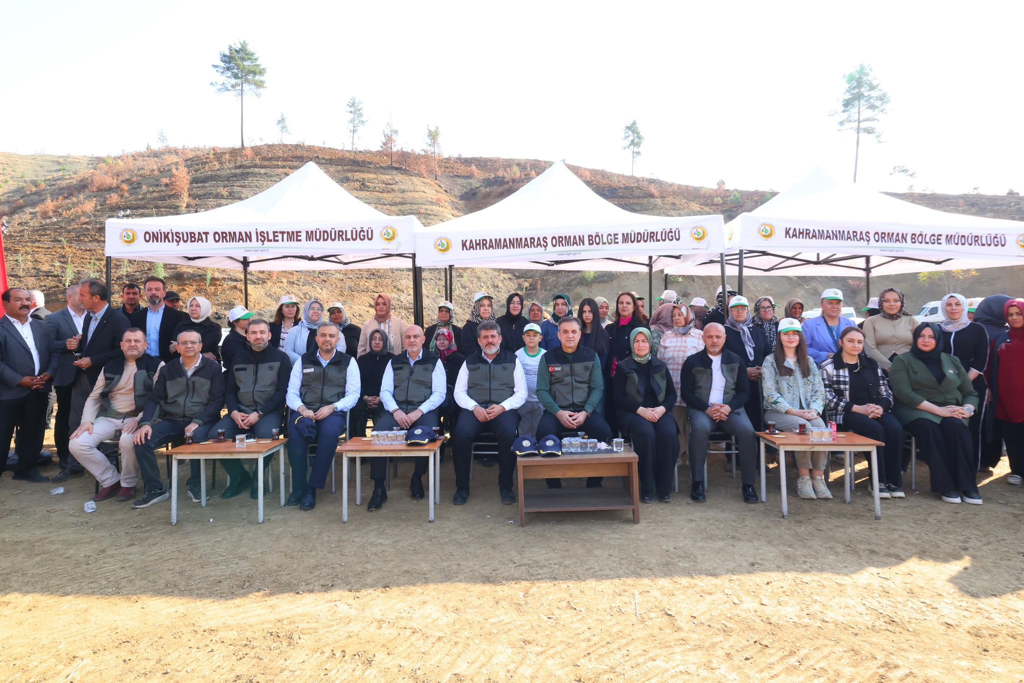 Orman Yangınlarında Kaybedilen Ağaçların Yerine Yeni Fidanlar Dikildi5