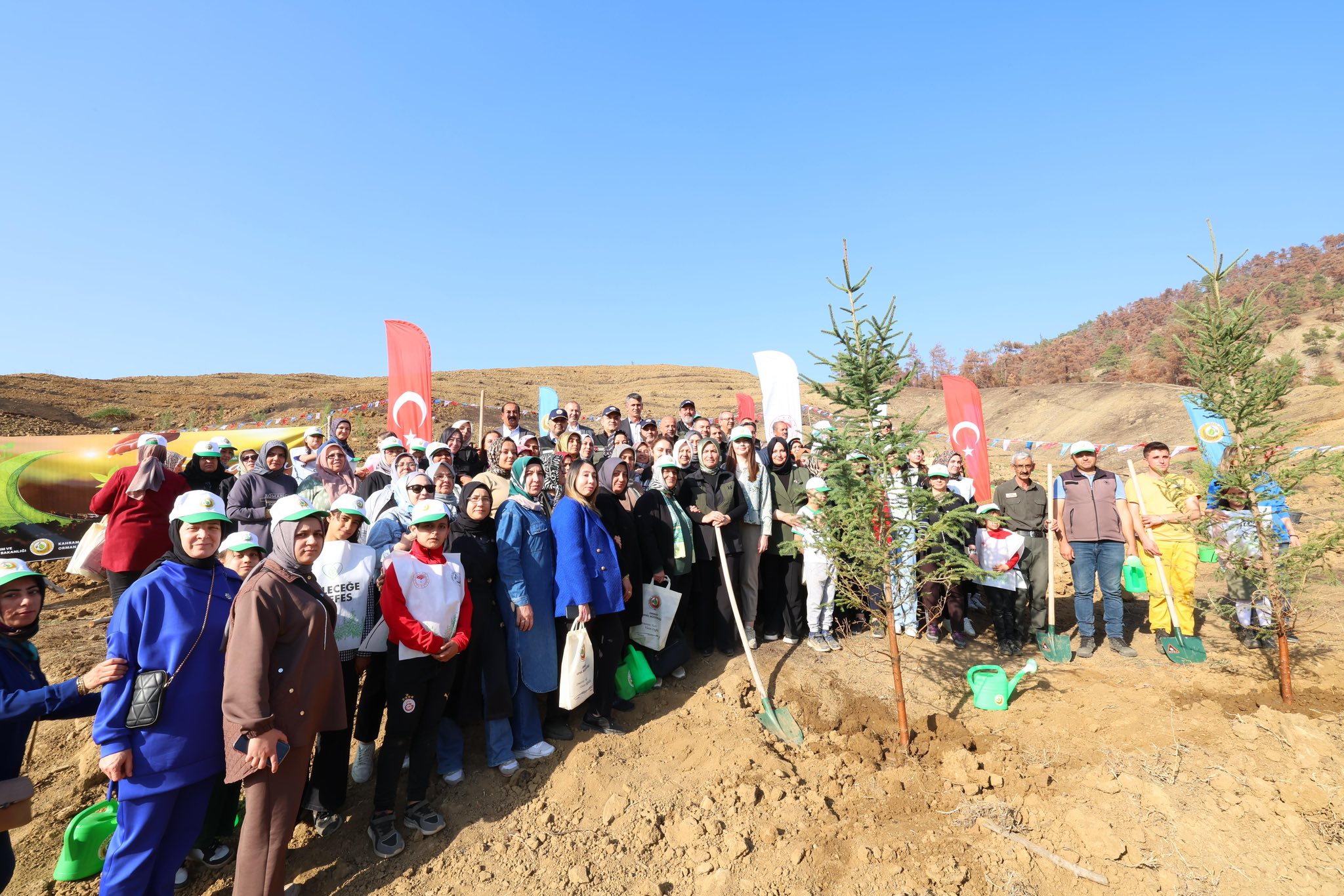 Orman Yangınlarında Kaybedilen Ağaçların Yerine Yeni Fidanlar Dikildi8