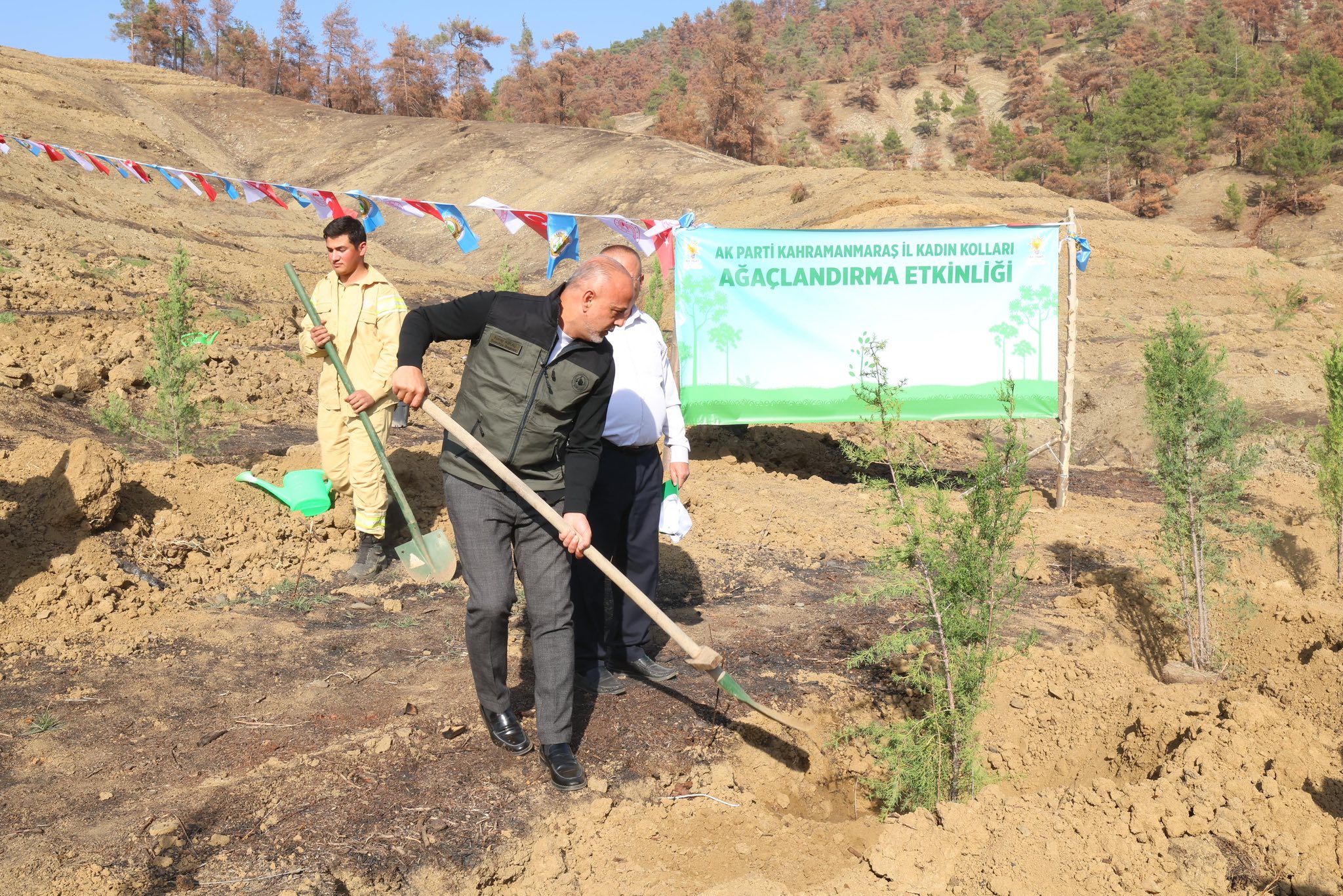 Orman Yangınlarında Kaybedilen Ağaçların Yerine Yeni Fidanlar Dikildi9