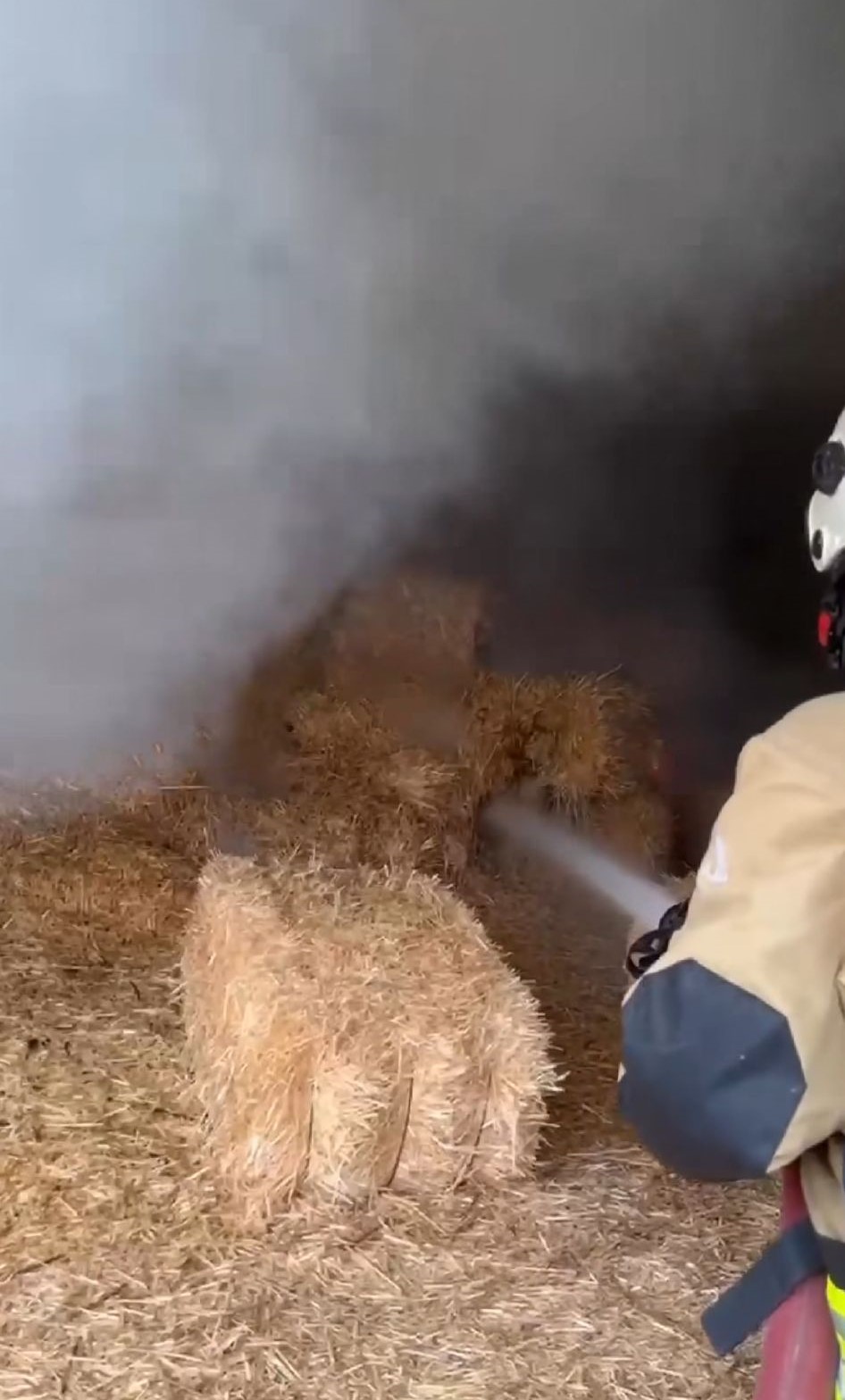 Samanlık Yangını (1)