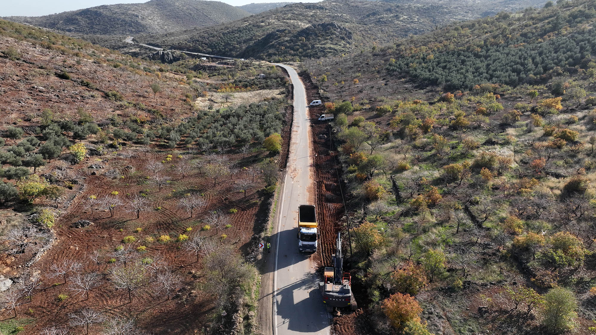 Türkoğlu Uzunsöğüt (4)