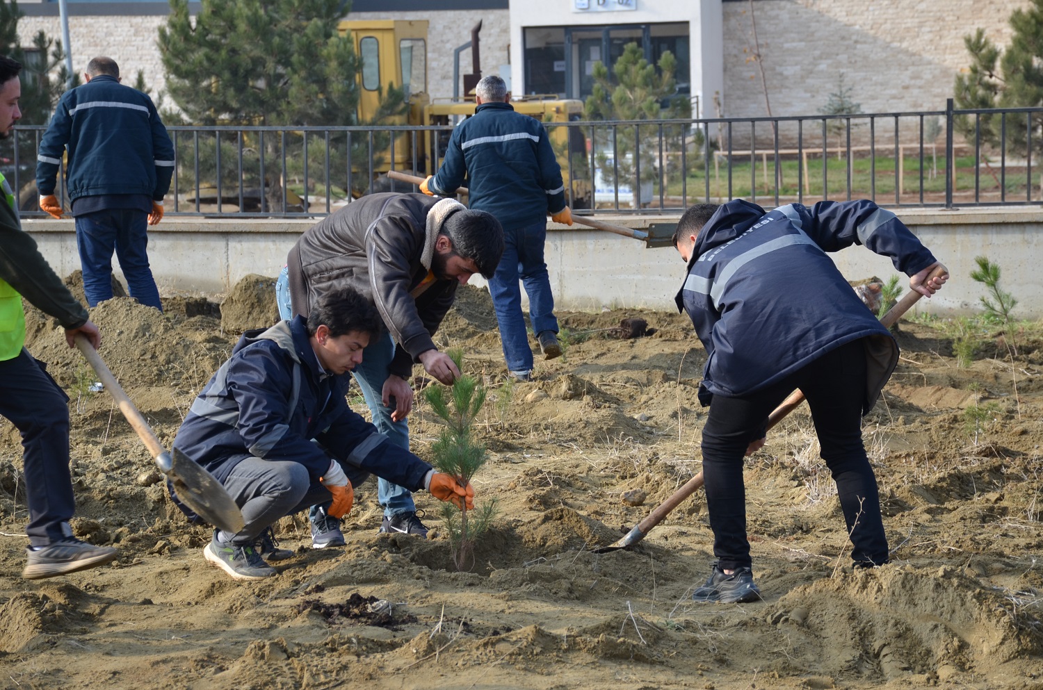 Afşin’de Şehit 20 Askerin Adı Dikilen Fidanlarda Yaşayacak (20)