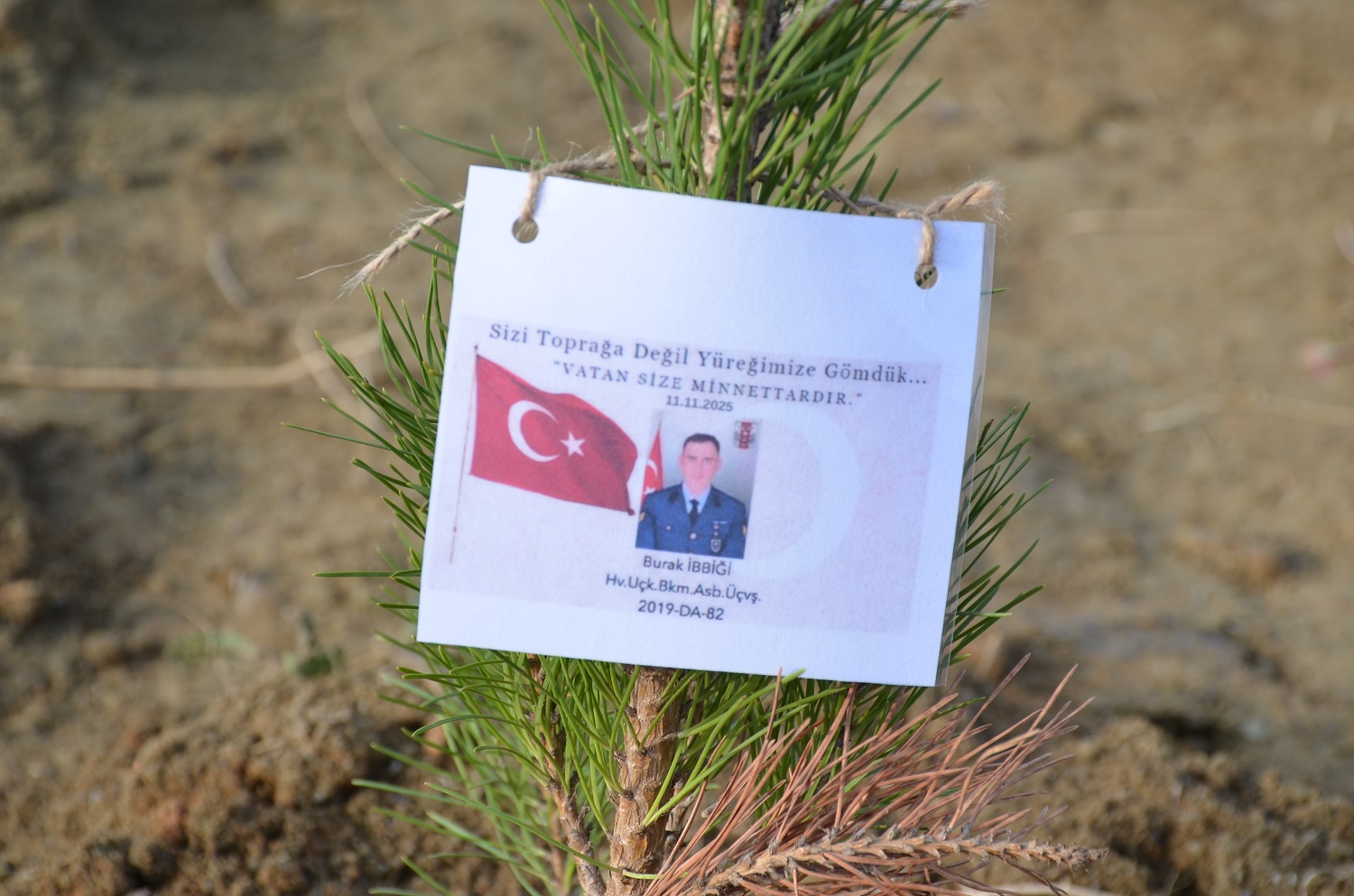 Afşin’de Şehit 20 Askerin Adı Dikilen Fidanlarda Yaşayacak (25)