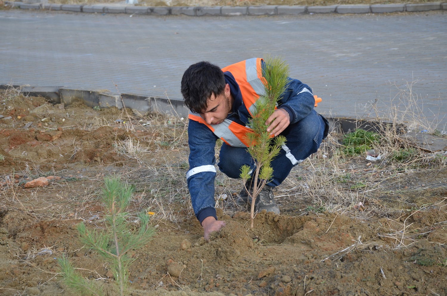 Afşin’de Şehit 20 Askerin Adı Dikilen Fidanlarda Yaşayacak (5)