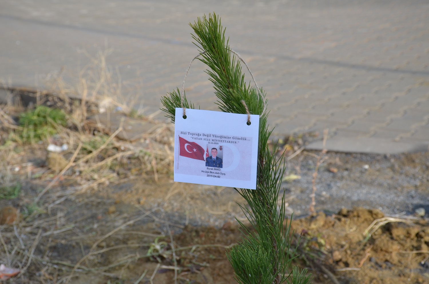 Afşin’de Şehit 20 Askerin Adı Dikilen Fidanlarda Yaşayacak (9)