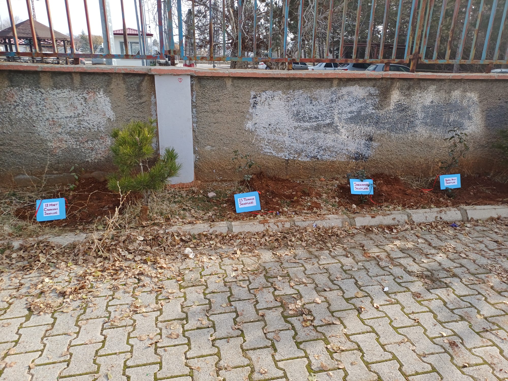 Afşin’de Şehitlere Vefa Gül Fidanları Toprakla Buluştu (8)