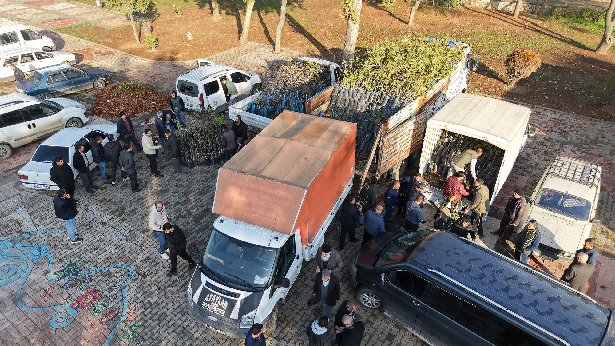 Büyükşehir’den Bin 500 Üreticiye 193 Bin Adet Fidan Desteği (3)