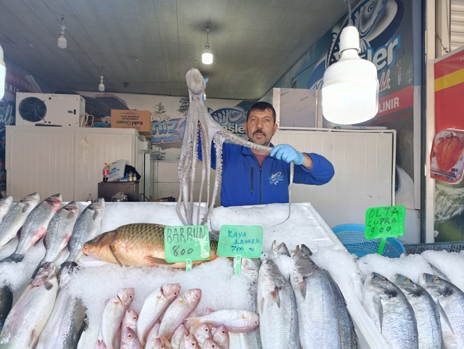 Denize Kıyısı Olmayan Kahramanmaraş'ta Balığa Yoğun İlgi (4)