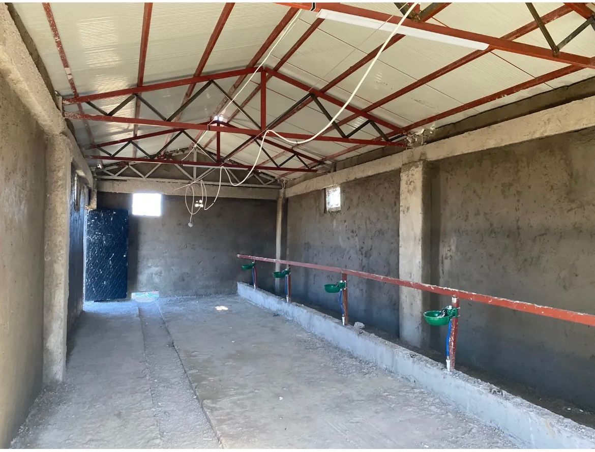 Deprem Sonrası İnşa Edilen Toplu Ahırlar Sahiplerini Buldu3