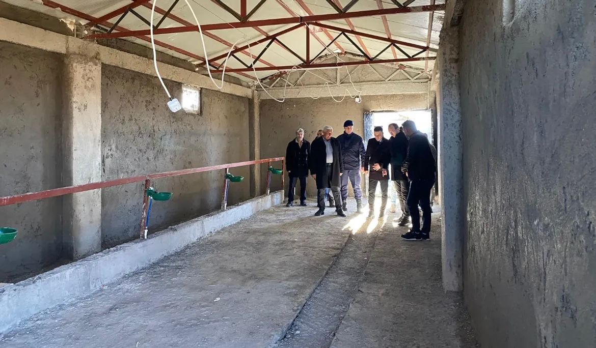 Deprem Sonrası İnşa Edilen Toplu Ahırlar Sahiplerini Buldu4
