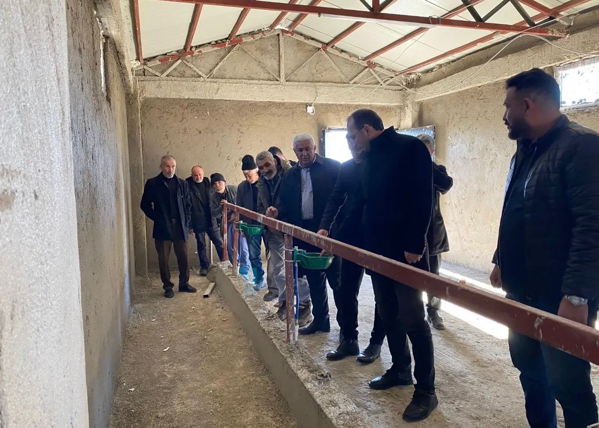 Deprem Sonrası İnşa Edilen Toplu Ahırlar Sahiplerini Buldu5