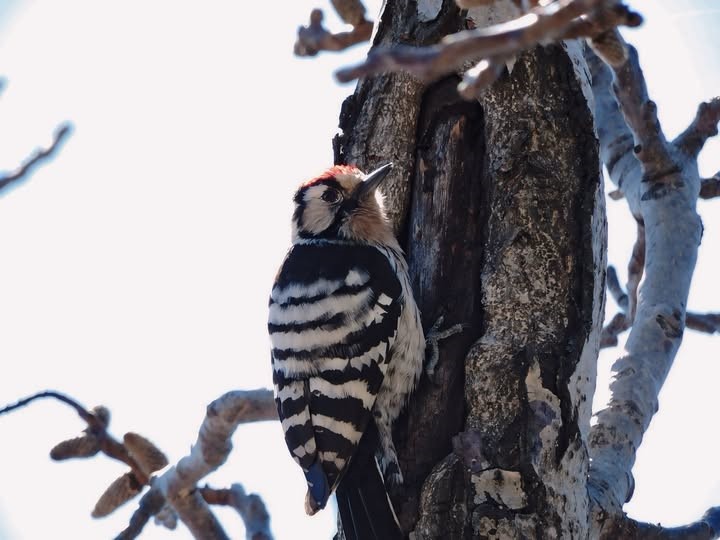 Fotokapanla Çekim Yapan Genç (3)