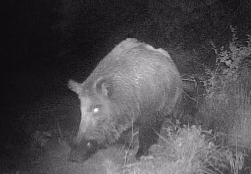 Fotokapanla Çekim Yapan Genç (4)