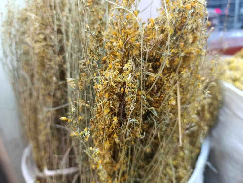 Hastalıklara Karşı Doğal Kalkan Kış Çaylarına İlgi Artıyor (2)