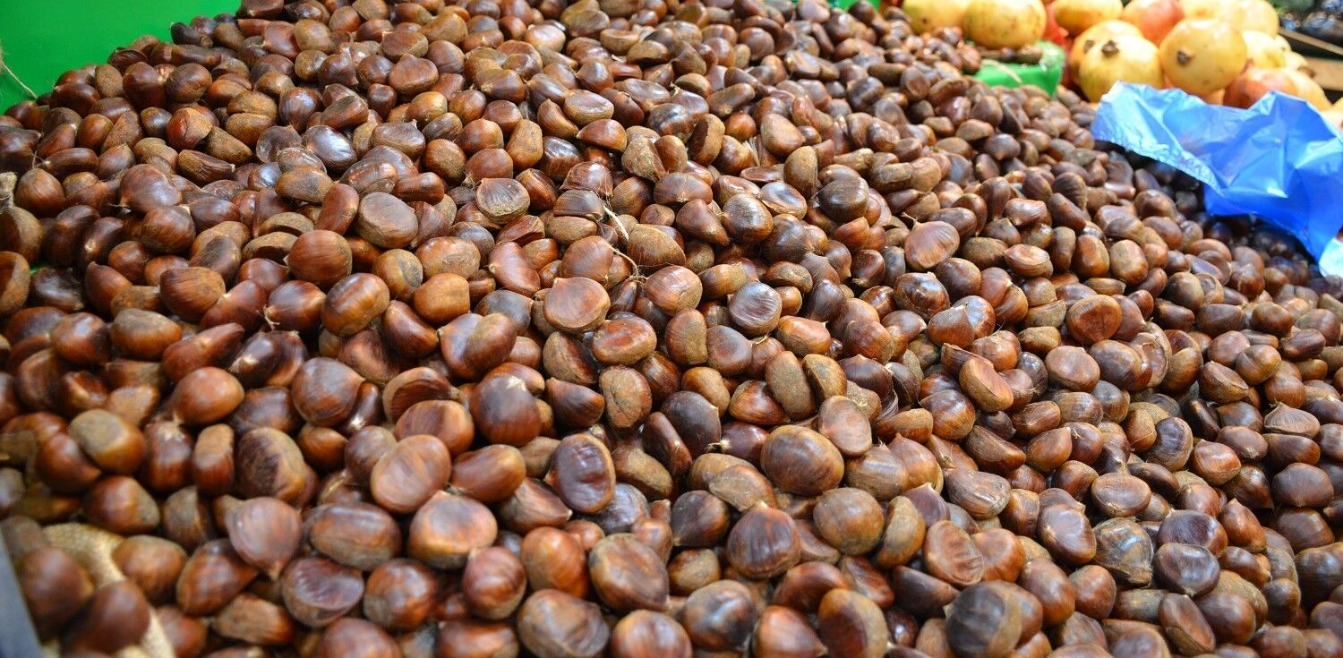 Kış Aylarının Vazgeçilmez Lezzeti Kestane (5)