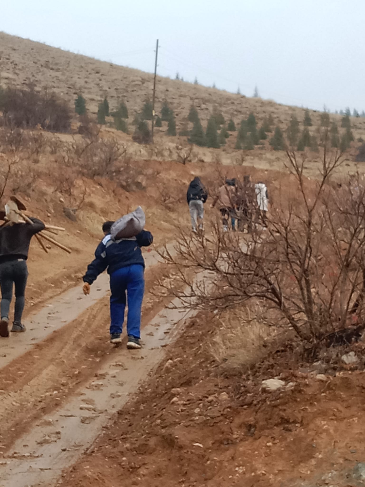 Whatsapp Image 2025 12 01 At 11.38.49