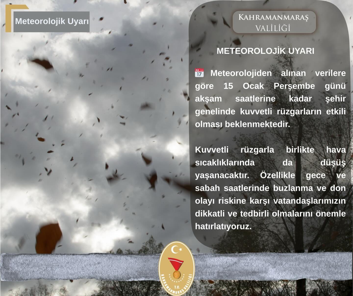 612490467 17861691774569096 2482498442955546290 N