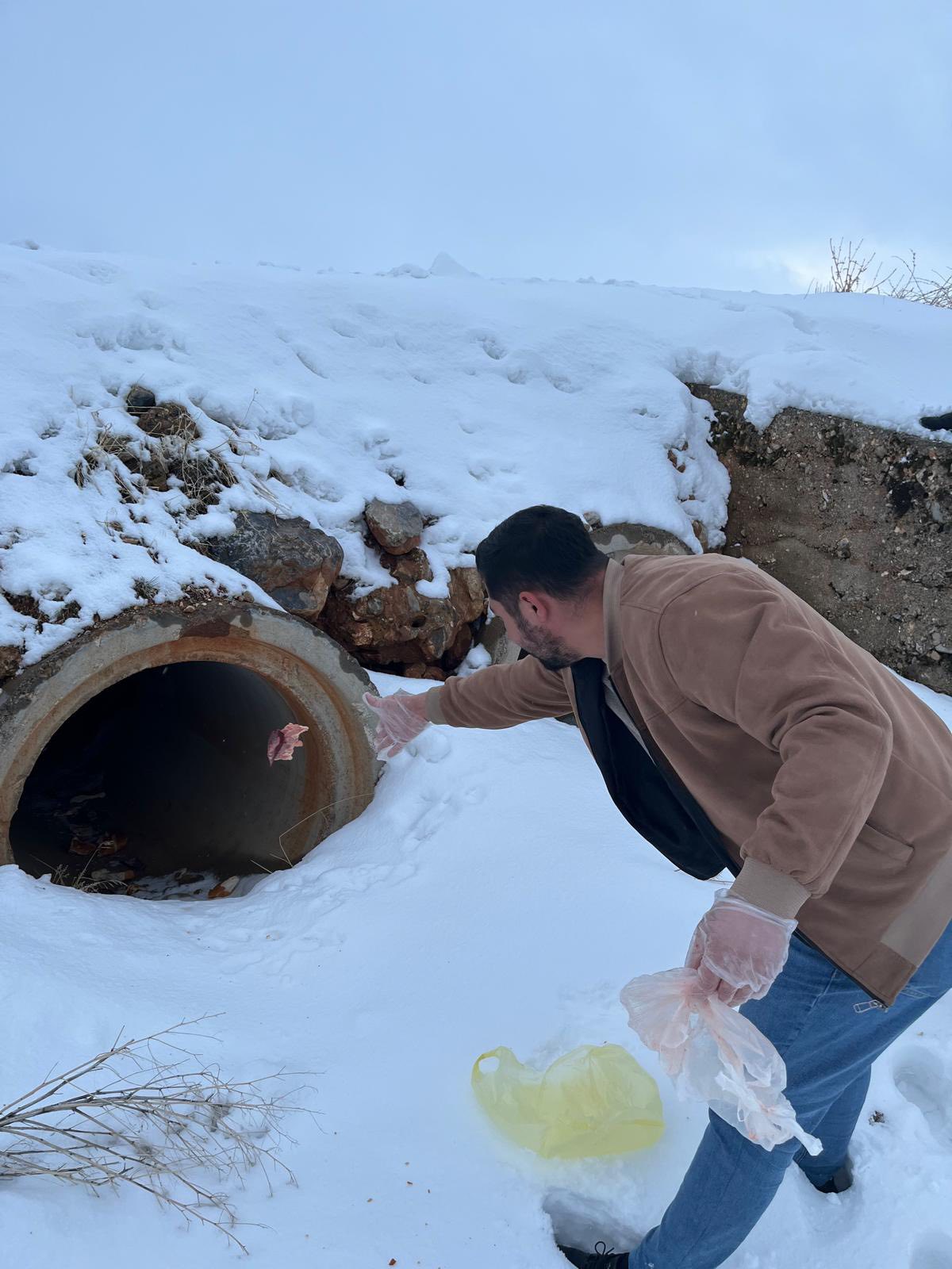 615071317 890923006661714 5052175262594736239 N