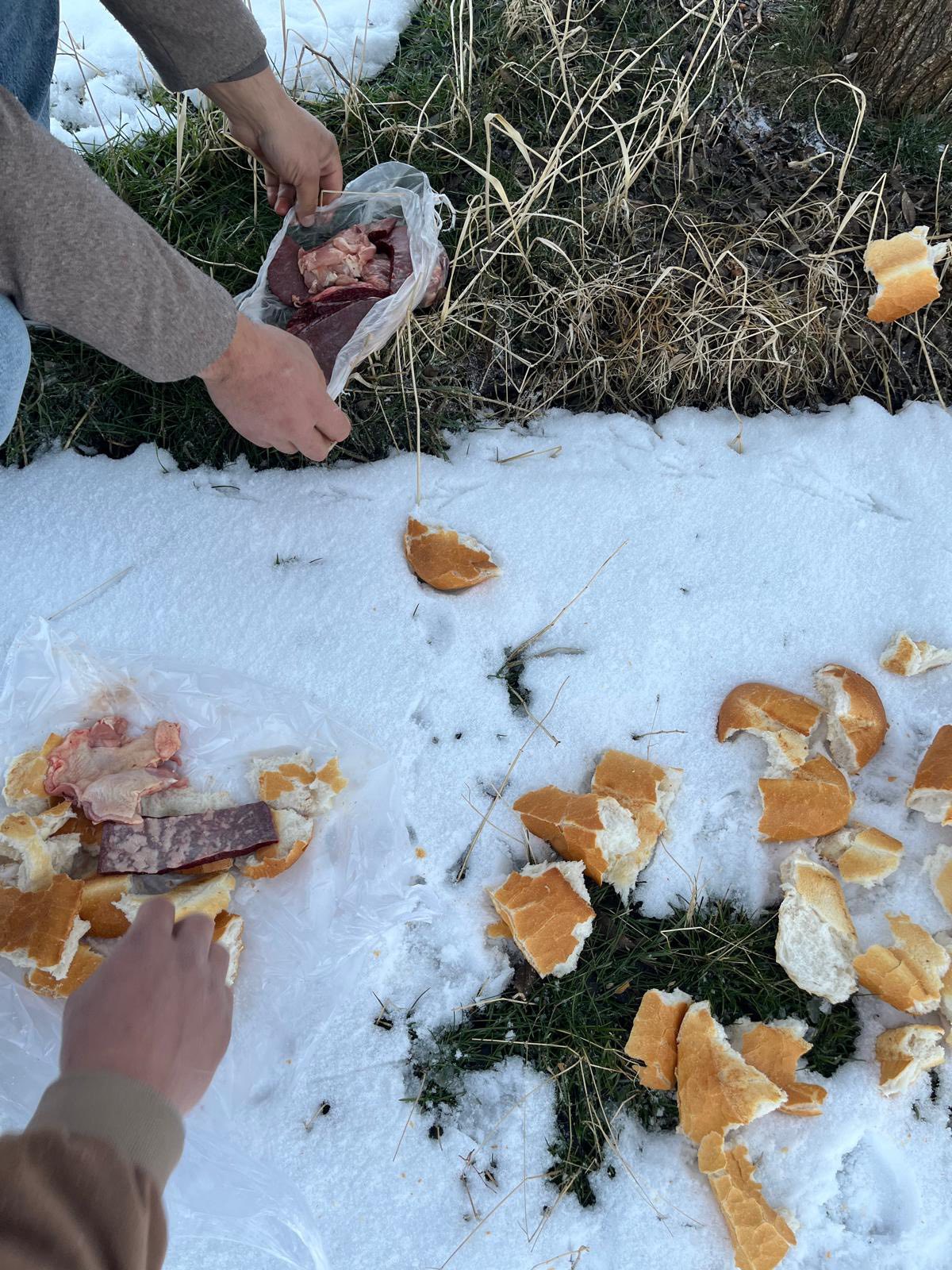 Afşin Ülkü Ocakları’ndan Sokak Ve Yaban Hayvanlarına Anlamlı Destek