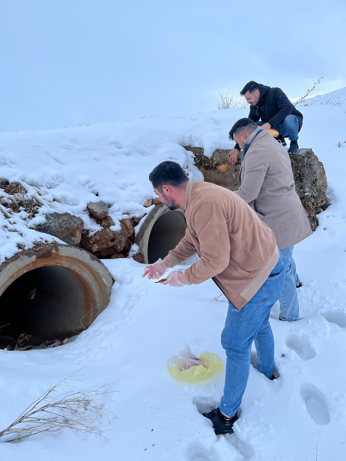 Afşin Ülkü Ocakları’ndan Sokak Ve Yaban Hayvanlarına Anlamlı Destek4