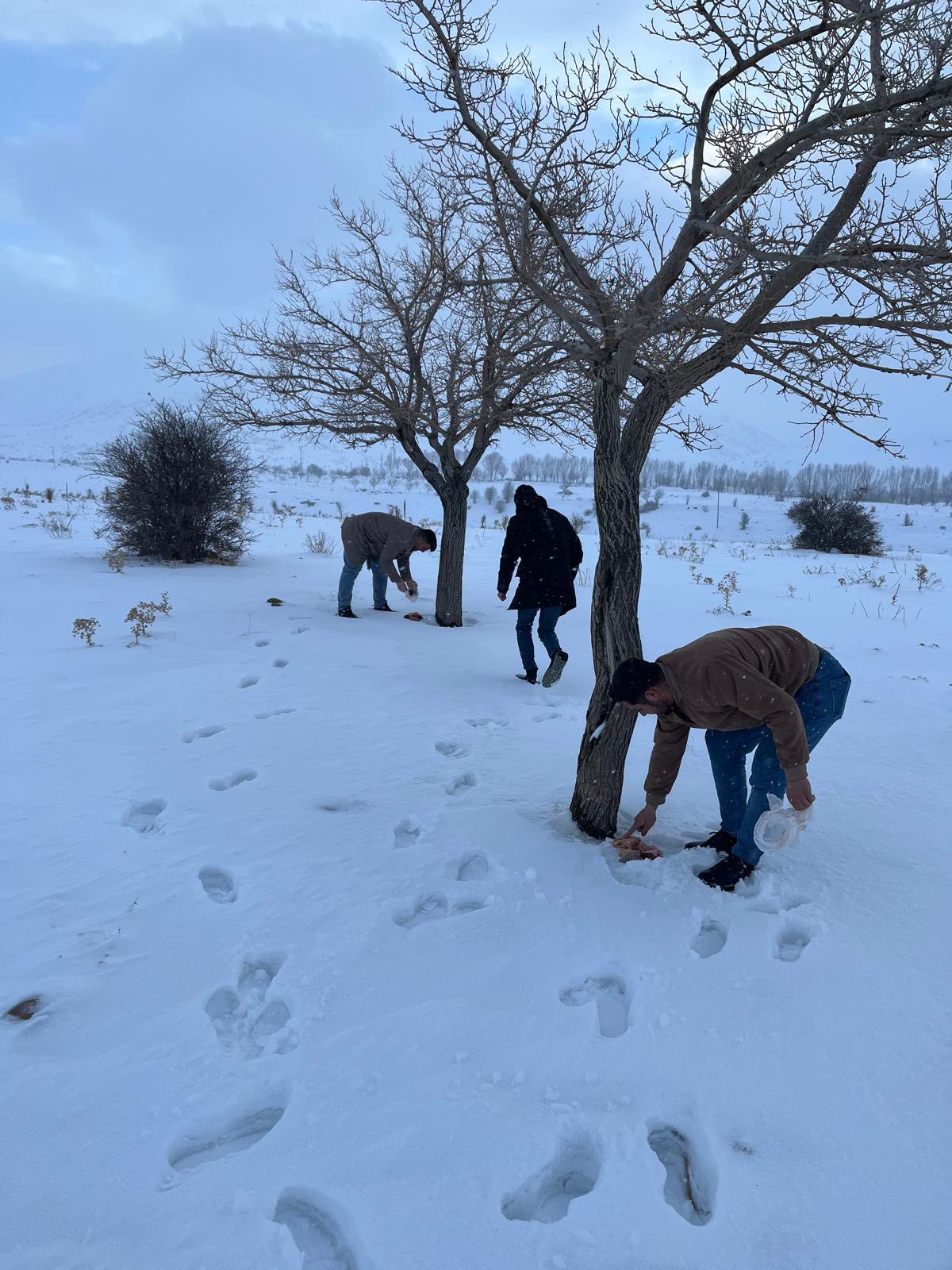 Afşin Ülkü Ocakları’ndan Sokak Ve Yaban Hayvanlarına Anlamlı Destek5