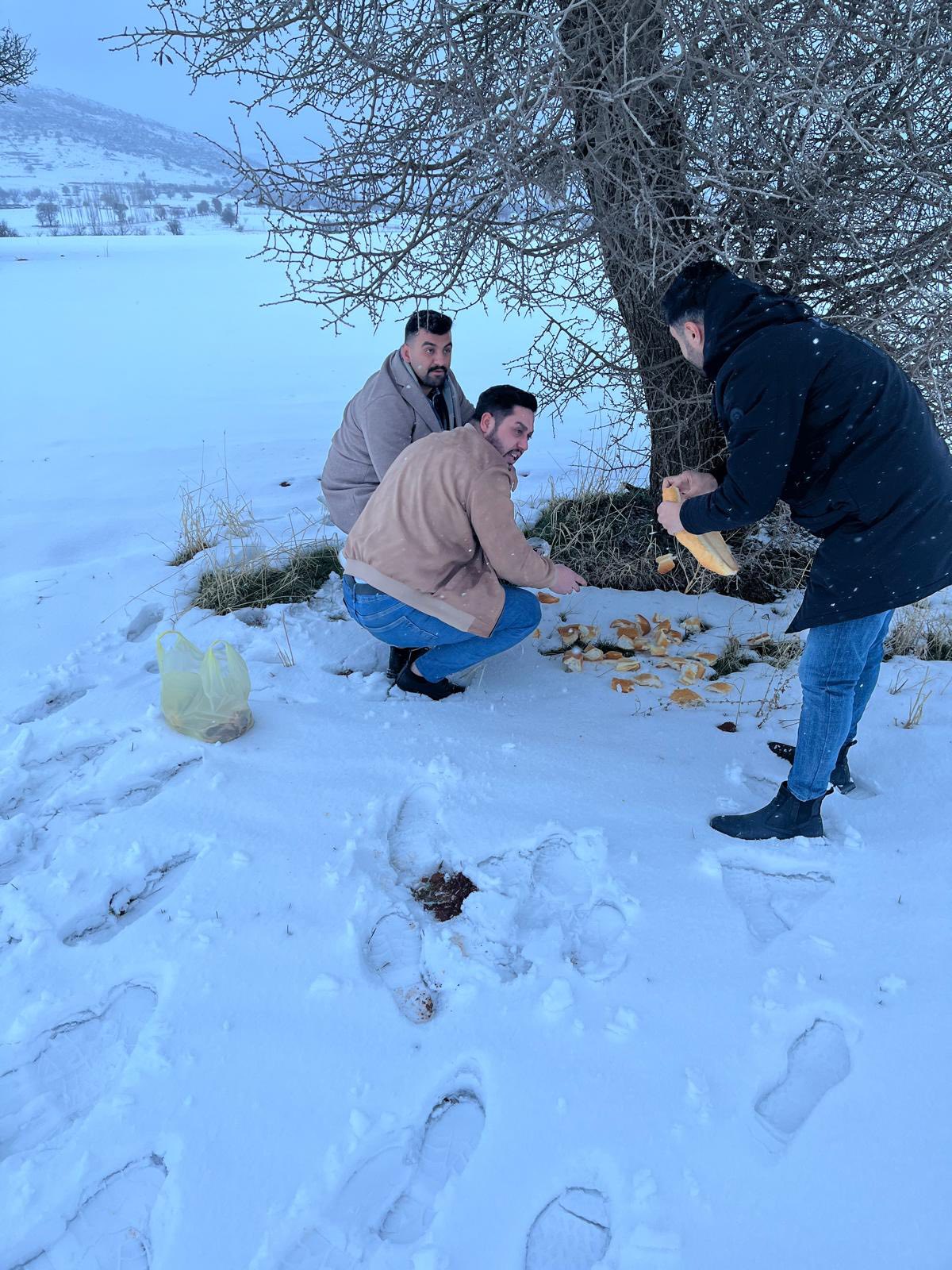 Afşin Ülkü Ocakları’ndan Sokak Ve Yaban Hayvanlarına Anlamlı Destek7