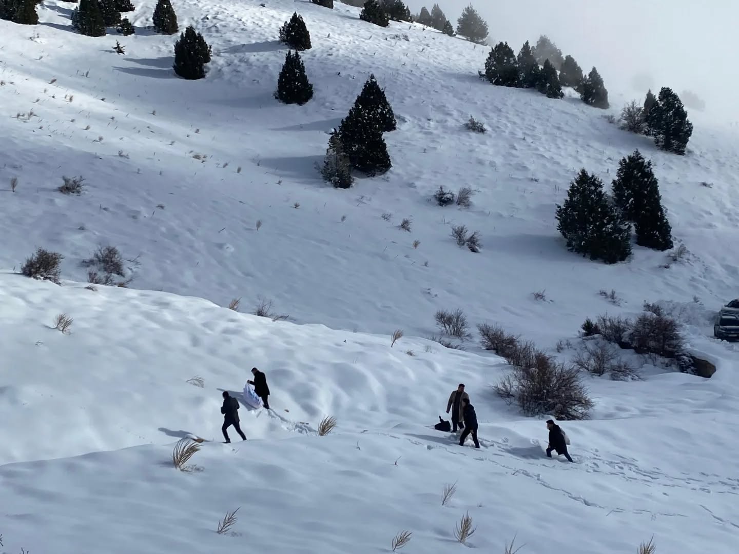 Afşin’de Yaban Hayatı İçin Yemleme Ve Kuduz Aşısı Çalışması Yapıldı (1)-1