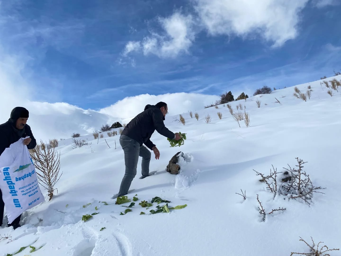 Afşin’de Yaban Hayatı İçin Yemleme Ve Kuduz Aşısı Çalışması Yapıldı (10)