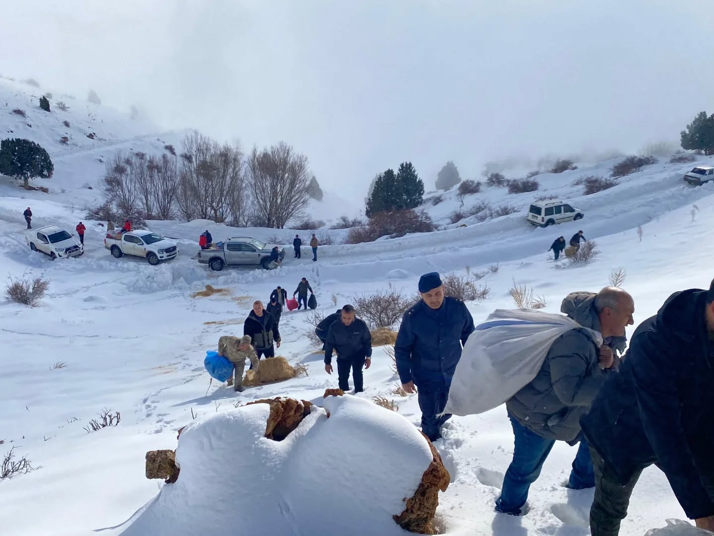 Afşin’de Yaban Hayatı İçin Yemleme Ve Kuduz Aşısı Çalışması Yapıldı (11)