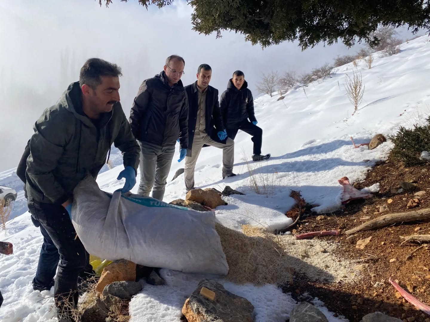 Afşin’de Yaban Hayatı İçin Yemleme Ve Kuduz Aşısı Çalışması Yapıldı (2)-1