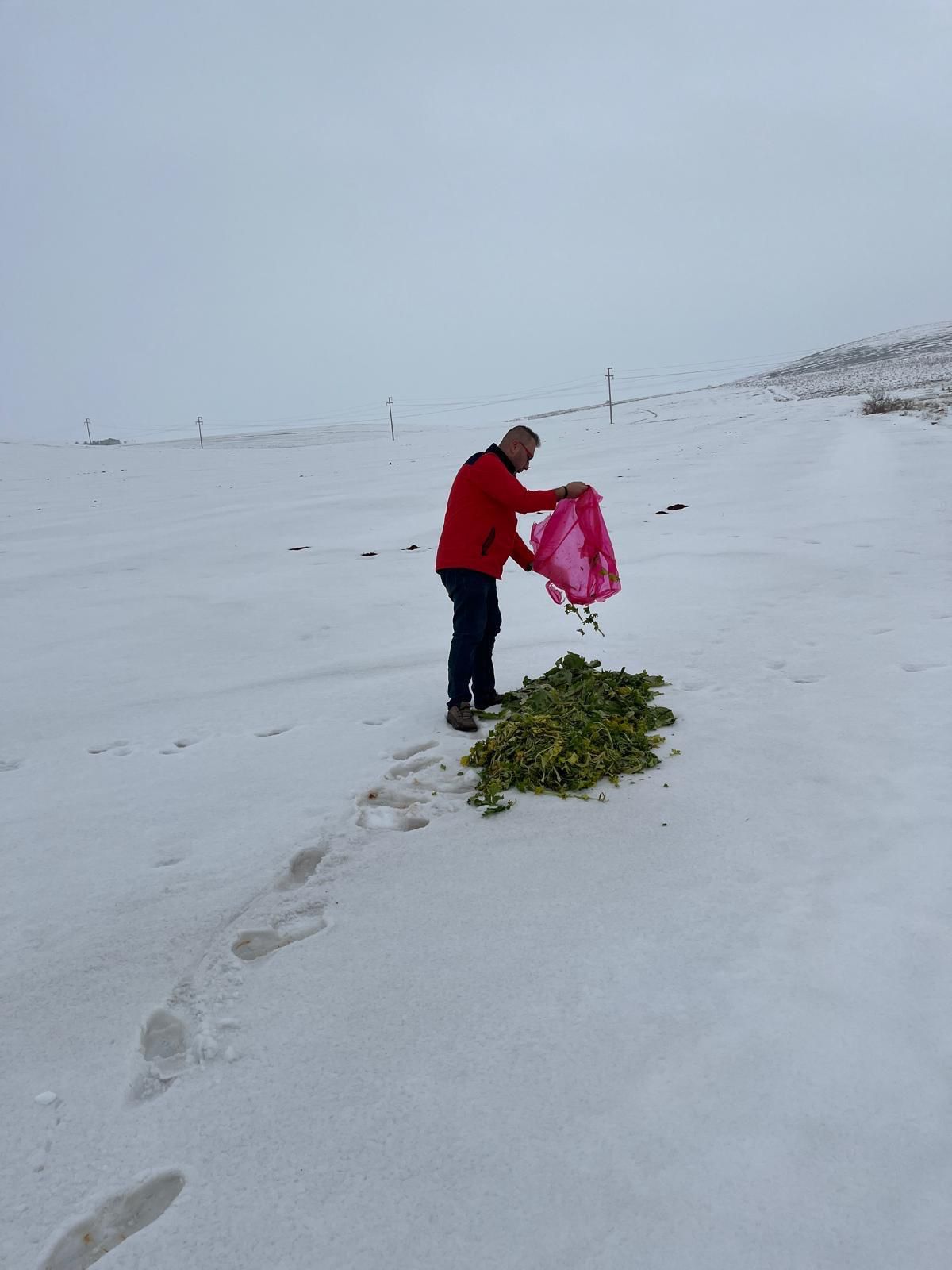 Afşin’de Yaban Hayatı İçin Yemleme Ve Kuduz Aşısı Çalışması Yapıldı (2)