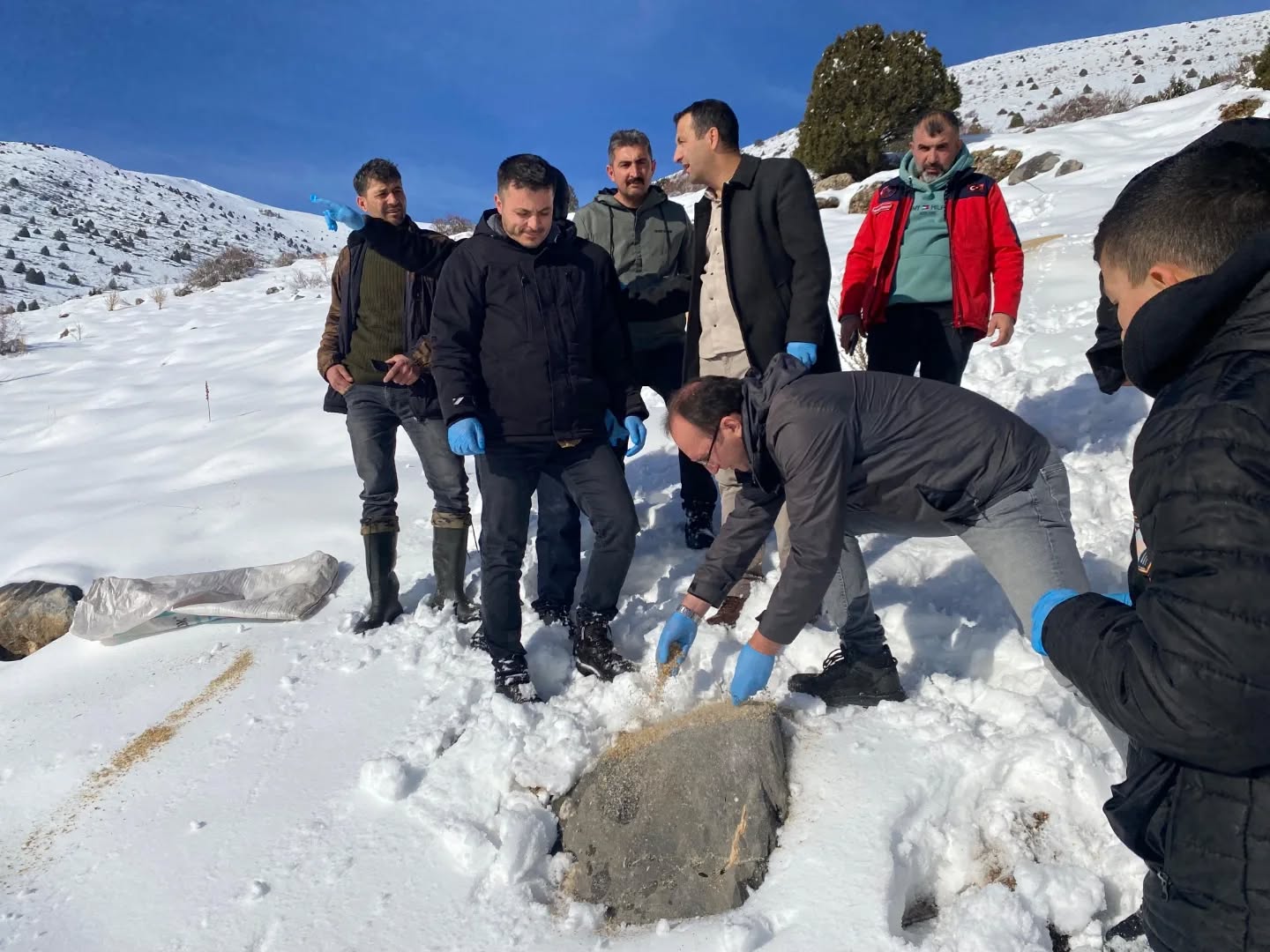 Afşin’de Yaban Hayatı İçin Yemleme Ve Kuduz Aşısı Çalışması Yapıldı (3)-1